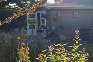 tl_files/garten/gaerten 2024/gaerten 2025/og_dd_2025_D21B_lit.jpg